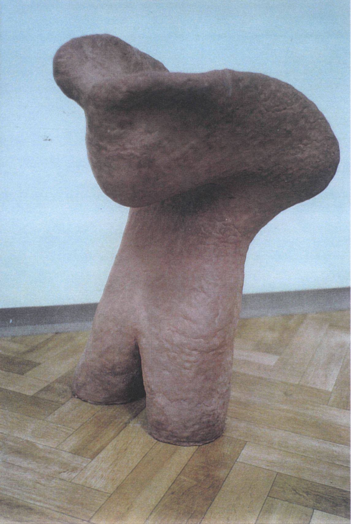 Image 45